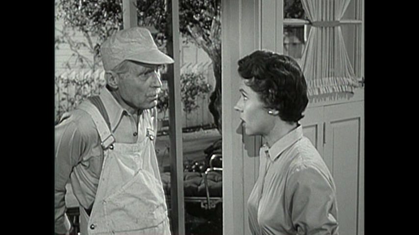 Father Knows Best: S2 E20 - The House Painter